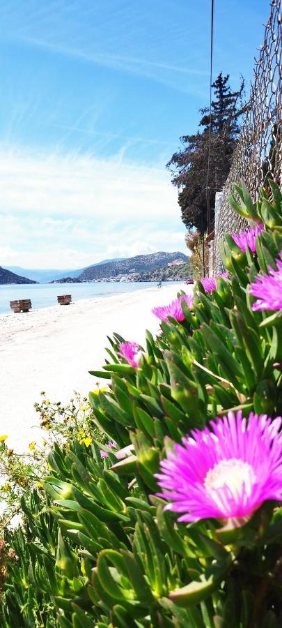 Vice Versa Elegant Studio 1 Nafplio Luaran gambar